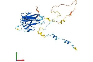 AlphaFold protein structure predicition of Human Recombinant MVB12A Protein, UniprotID Q96EY5