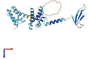 AlphaFold protein structure predicition of Mouse Recombinant Tcea2 Protein, UniprotID Q9QVN7