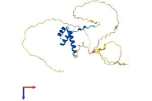 AlphaFold protein structure predicition of Mouse Recombinant Dlx1 Protein, UniprotID Q64317