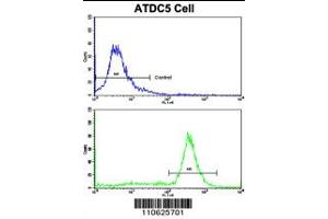 Flow cytometric analysis of ATDC5 cells using PHB1 Antibody (N-term)(bottom histogram) compared to a negative control cell (top histogram). (Prohibitin anticorps  (N-Term))