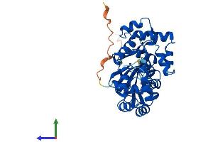 AlphaFold protein structure predicition of Mouse Recombinant Ogg1 Protein, UniprotID O08760