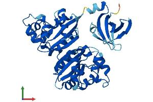AlphaFold protein structure predicition of Human Recombinant NME7 Protein, UniprotID Q9Y5B8