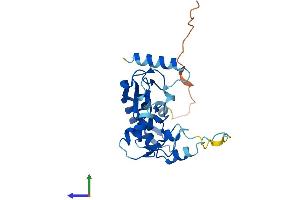 AlphaFold protein structure predicition of Human Recombinant RNF166 Protein, UniprotID Q96A37