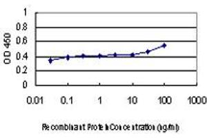 Detection limit for recombinant GST tagged DLX2 is approximately 0. (DLX2 anticorps  (AA 1-110))