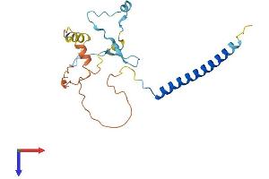 AlphaFold protein structure predicition of Human Recombinant MBD3L1 Protein, UniprotID Q8WWY6