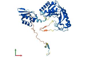 AlphaFold protein structure predicition of Mouse Recombinant Ascc1 Protein, UniprotID Q9D8Z1