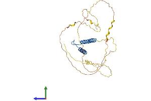 AlphaFold protein structure predicition of Human Recombinant TAL1 Protein, UniprotID P17542