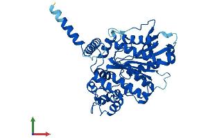 AlphaFold protein structure predicition of Mouse Recombinant Nceh1 Protein, UniprotID Q8BLF1