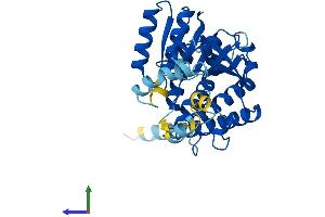 AlphaFold protein structure predicition of Human Recombinant HSD17B7 Protein, UniprotID P56937