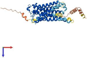AlphaFold protein structure predicition of Mouse Recombinant Ptgfr Protein, UniprotID P43117