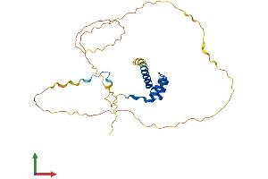 AlphaFold protein structure predicition of Human Recombinant HOXA5 Protein, UniprotID P20719