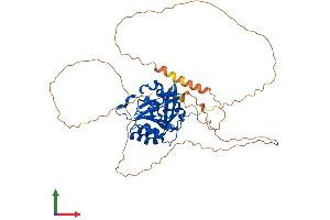 AlphaFold protein structure predicition of Mouse Recombinant Ctdspl2 Protein, UniprotID Q8BG15