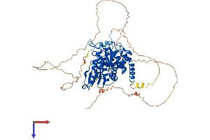 AlphaFold protein structure predicition of Human Recombinant CDC14A Protein, UniprotID Q9UNH5