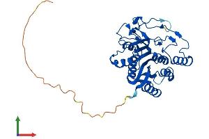 AlphaFold protein structure predicition of Mouse Recombinant B3galt6 Protein, UniprotID Q91Z92