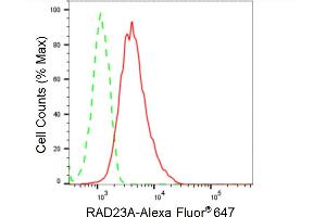 Flow cytometric analysis of RAD23A expression in HepG2 cells using RAD23A antibody (ABIN7800116), 1:2,000). (Recombinant RAD23A anticorps)