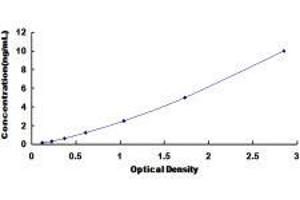 Glutaredoxin 3 (GLRX3) ELISA Kit