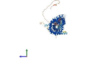 AlphaFold protein structure predicition of Mouse Recombinant Jup Protein, UniprotID Q02257