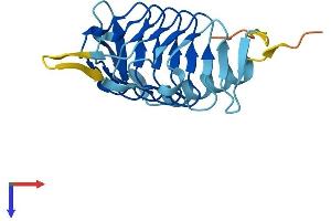 AlphaFold protein structure predicition of Mouse Recombinant Dctn5 Protein, UniprotID Q9QZB9