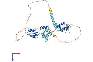AlphaFold protein structure predicition of Mouse Recombinant Lyar Protein, UniprotID Q08288