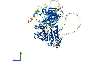 AlphaFold protein structure predicition of Mouse Recombinant Trmt44 Protein, UniprotID Q9D2Q2