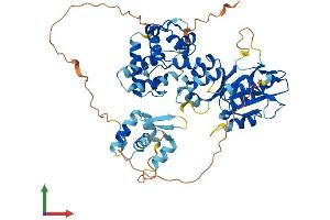 AlphaFold protein structure predicition of Mouse Recombinant Mus81 Protein, UniprotID Q91ZJ0