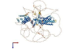 AlphaFold protein structure predicition of Human Recombinant HCN4 Protein, UniprotID Q9Y3Q4