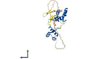 AlphaFold protein structure predicition of Human Recombinant POU6F1 Protein, UniprotID Q14863