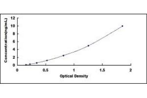 Typical standard curve (LAG3 Kit ELISA)