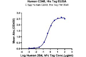 Immobilized Human CD48, His Tag at 1 μg/mL (100 μL/well) on the plate.