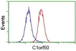 Flow cytometric Analysis of Hela cells, using anti-C1orf50 antibody (ABIN2454573), (Red), compared to a nonspecific negative control antibody, (Blue). (C1ORF50 anticorps)