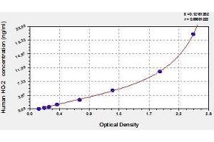 Typical standard curve (HMOX2 Kit ELISA)