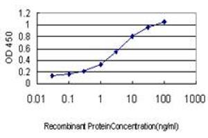 Detection limit for recombinant GST tagged ERH is approximately 0. (ERH anticorps  (AA 1-104))