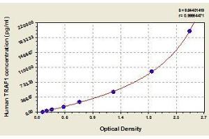 Typical standard curve (TRAF1 Kit ELISA)