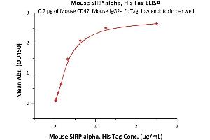 Immobilized Mouse CD47, Mouse IgG2a Fc Tag, low endotoxin (ABIN5954914,ABIN6809967) at 2 μg/mL (100 μL/well) can bind Mouse SIRP alpha, His Tag (ABIN6386455,ABIN6388273) with a linear range of 0.