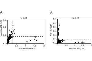 Correlation between anti-HMGB1 and anti-HMGB2 (A), and anti-HSA (B) IgG titers.