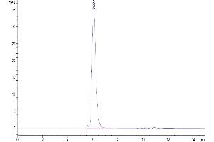 The purity of Biotinylated Human MSLN is greater than 95 % as determined by SEC-HPLC.
