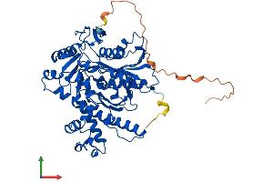 AlphaFold protein structure predicition of Mouse Recombinant Hmgcs1 Protein, UniprotID Q8JZK9