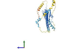 AlphaFold protein structure predicition of Human Recombinant ABT1 Protein, UniprotID Q9ULW3