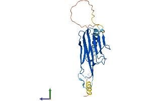 AlphaFold protein structure predicition of Mouse Recombinant Tnf Protein, UniprotID P06804