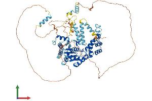 AlphaFold protein structure predicition of Human Recombinant FIGNL1 Protein, UniprotID Q6PIW4