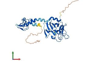 AlphaFold protein structure predicition of Human Recombinant RFPL1 Protein, UniprotID O75677
