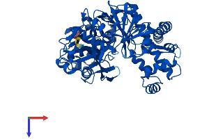 AlphaFold protein structure predicition of Human Recombinant FGGY Protein, UniprotID Q96C11