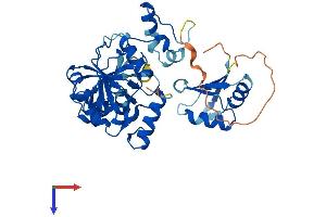 AlphaFold protein structure predicition of Mouse Recombinant Mthfsd Protein, UniprotID Q3URQ7