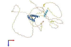 AlphaFold protein structure predicition of Human Recombinant EVX1 Protein, UniprotID P49640