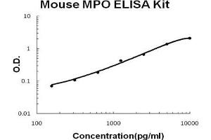 Mouse MPO PicoKine ELISA Kit standard curve (Myeloperoxidase Kit ELISA)