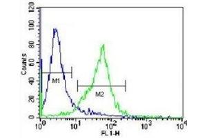GCLC antibody flow cytometric analysis of Jurkat cells (green) compared to a negative control (blue).