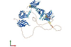 AlphaFold protein structure predicition of Mouse Recombinant Pabpc1 Protein, UniprotID P29341