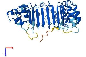 AlphaFold protein structure predicition of Human Recombinant FBXL12 Protein, UniprotID Q9NXK8