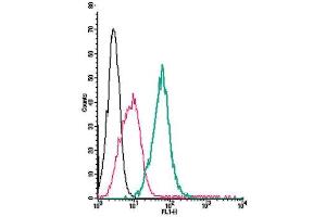 Cell surface detection of Plexin-C1 by direct flow cytometry in live intact mouse J774 macrophage cell line: + Rabbit IgG isotype control-FITC.