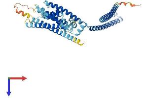 AlphaFold protein structure predicition of Human Recombinant KCNN4 Protein, UniprotID O15554